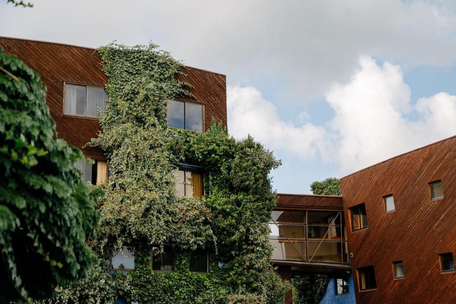 Hotel Tierra Del Sur 테무코 외부 사진